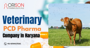 Veterinary PCD Pharma Franchise Company In Haryana