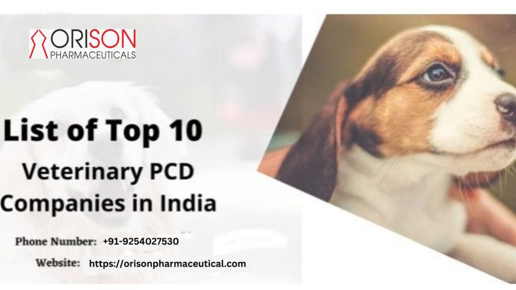 Best Veterinary PCD Pharma Company In India