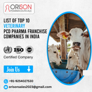 Top 10 Veterinary PCD Companies In India