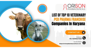 Veterinary PCD Pharma Franchise Company In Haryana