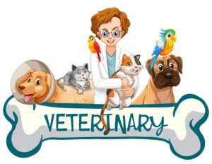 Best Veterinary PCD Pharma Company In Haryana