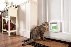 Professional Cat Flap Fitters: Ensuring Perfect Installation Every Time