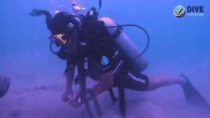 PADI Open Water Diver Course Andaman