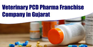 A Golden Chance: How to Begin a Veterinary PCD Franchise in Gujarat