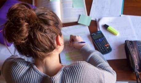 Dissertation Writing Services