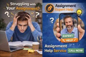 HRM thesis help