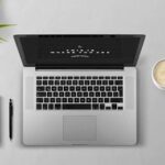 set up llc online