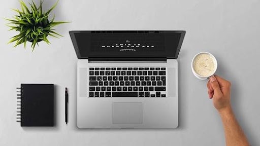 set up llc online