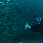 La Bombona Diving